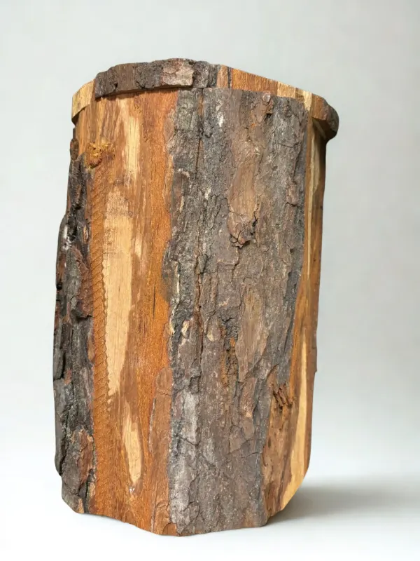 Urne bois d&rsquo;aulne &eacute;corce, Pompes Fun&egrave;bres Carbonnier &agrave; Friville-Escarbotin